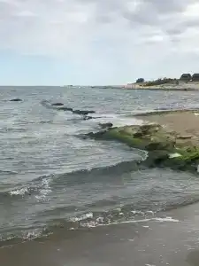 Морской Дворик - 49