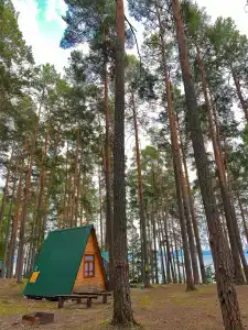 Лесная поляна - 32
