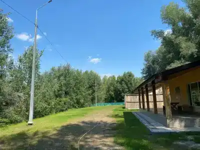 Новый берег - 50