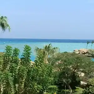 Sunny Days Palma De Mirette Resort & Spa - Families and couples only - 9