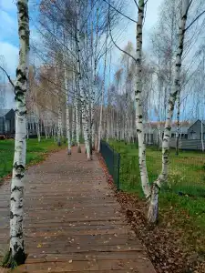 Загородный дом в экологически чистом поселке - 38
