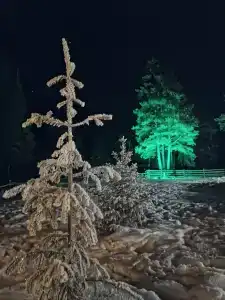 Заветное место - 38