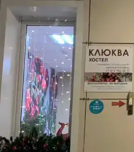 Клюква - 25