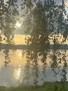 Лесное озеро - 93