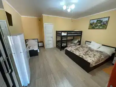 Сокол - 1