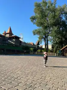 Теремок - 41