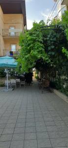 Виолетта - 17