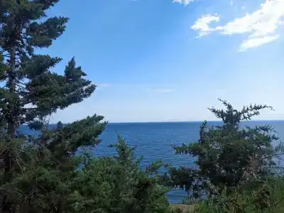 Багира - 67