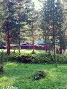 Закуток - 42