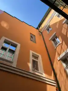 Пальма - 25