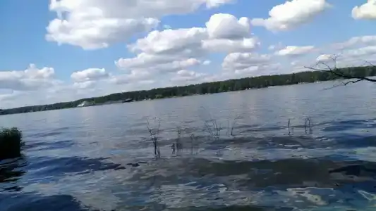 Волна - 53