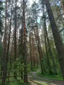 Заимка Речная - 1