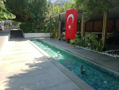 Perges - Adult Only 18 plus - 18