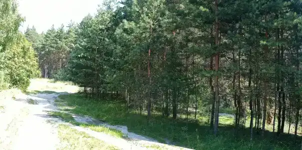 Белые бугры - 95