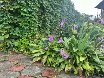 Алые паруса - 21