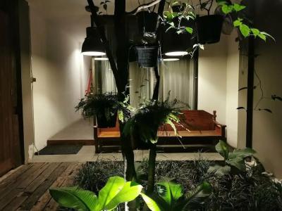 Pak Ping The Cozy Living in Chiangmai - 23