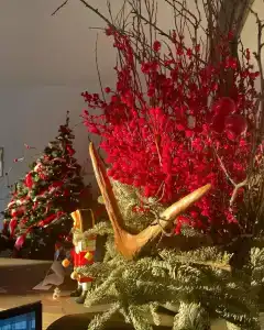 Суворова 26 - 64