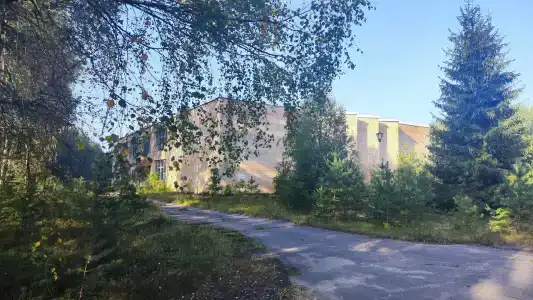 Волна - 14