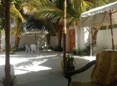 Palm Garden - 41