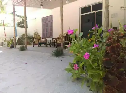 Palm Garden - 19