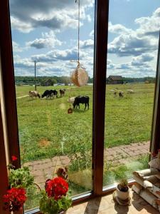 Эко-ферма Ваньково - 66