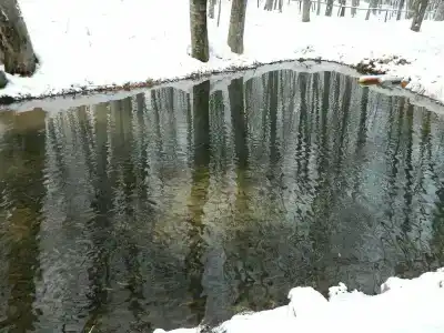 Серебряный ключ - 42