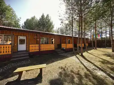 Литопур - 15