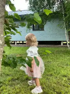 Эко дача Берёза - 80