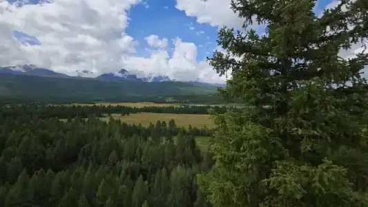 Мир Алтай - 41