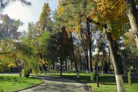 Residence Park - 31