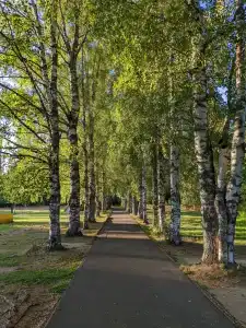Бобровниково - 26