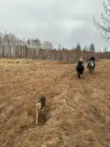 Багратион - 7