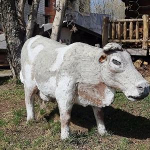 Владимирский край - 36