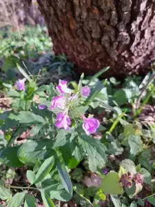 Серёжкино - 22