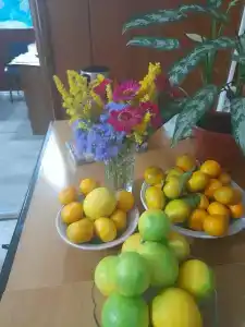 Чкалофф - 9
