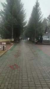 Санаторий Санус - 59