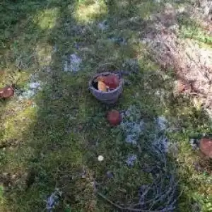 Снетковское Озеро - 76