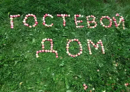 Пасынково134 - 18