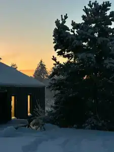 Лунный свет - 41