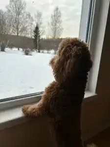 Емельяново - 54