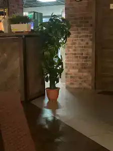 Солнечный Ветер - 47