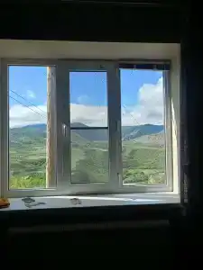 Пение птиц - 93