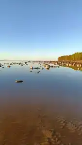 Бухта желтая - 70