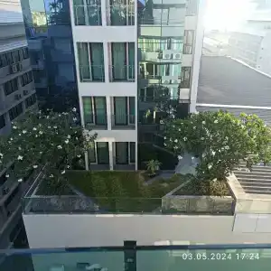 Sunshine Vista - Sha Plus - 18