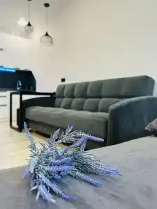 Дошли - 27