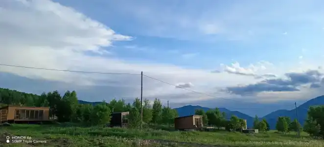 Чайное гнёздышко - 48