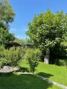 Eco Garden - 8
