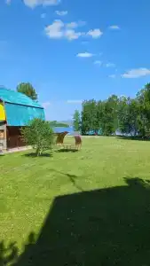 Лето - 38