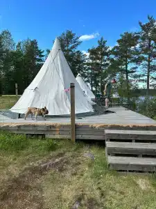 Karelia Love Glamping - 36