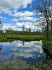 Емельяново - 40